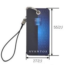 TOSTEM,トステム CAZAS(カザス)タグキー(アヴァントス専用デザイン)