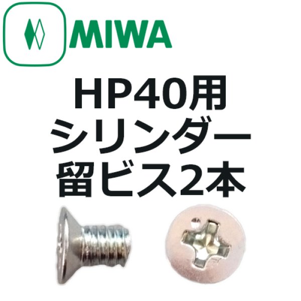 画像1: MIWA,美和ロック　HP40用 シリンダー留ビス　2本セット (1)