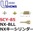 画像1: ユーシンショウワ（U-shin Showa）　NX-BLL (1)