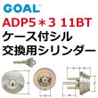 画像1: GOAL,ゴール　ADP5*3　11BTケース付シル (1)