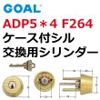 画像1: GOAL,ゴール　ADP5*4　F264ケース付シル (1)