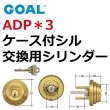 画像1: GOAL,ゴール　ADP*3　74　ケース付シル (1)