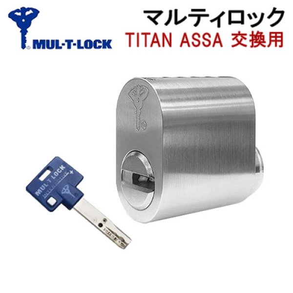 画像1: MUL-T-LOCK,マルティロックJ【ABLOY ASSA】アブロイ アッサ (1)