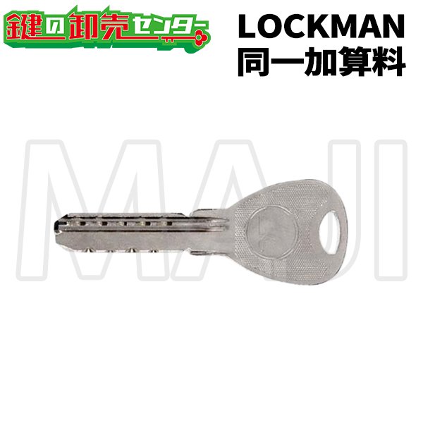 画像1: LOCKMAN,ロックマン　メガクロスSPシリンダー別同一加算料 (1)