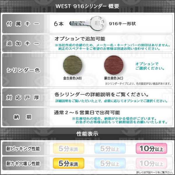 画像2: WEST,ウエスト　リプレイス　GS600+G5500　2個同一 (2)