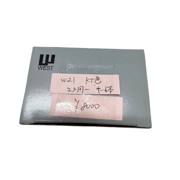 画像1: WEST,ウエスト  916-W21-KT  2個同一　キー6本 (1)