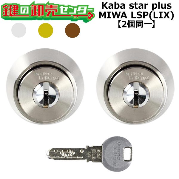 画像1: Kaba star plus,カバスタープラス 8150R 【MIWA　LSP/LIX(TE0)】美和ロック LSP/LIX(TE0)交換用 2個同一 (1)