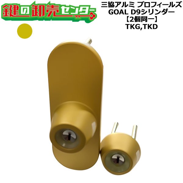 画像1: GOAL,ゴール　GOAL TKG,TKD　三協立山アルミ向けOEM　D9シリンダー　ゴールド塗装色(GO)　WD7093 (1)