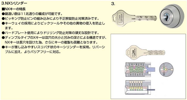 http://www.rrrmaji.com/data/rrrrr/image/syowanx1.jpg